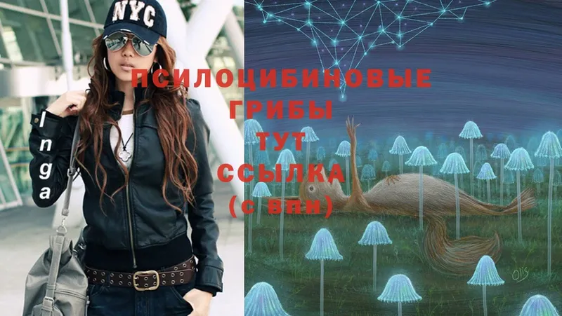 Псилоцибиновые грибы Cubensis  Серпухов 